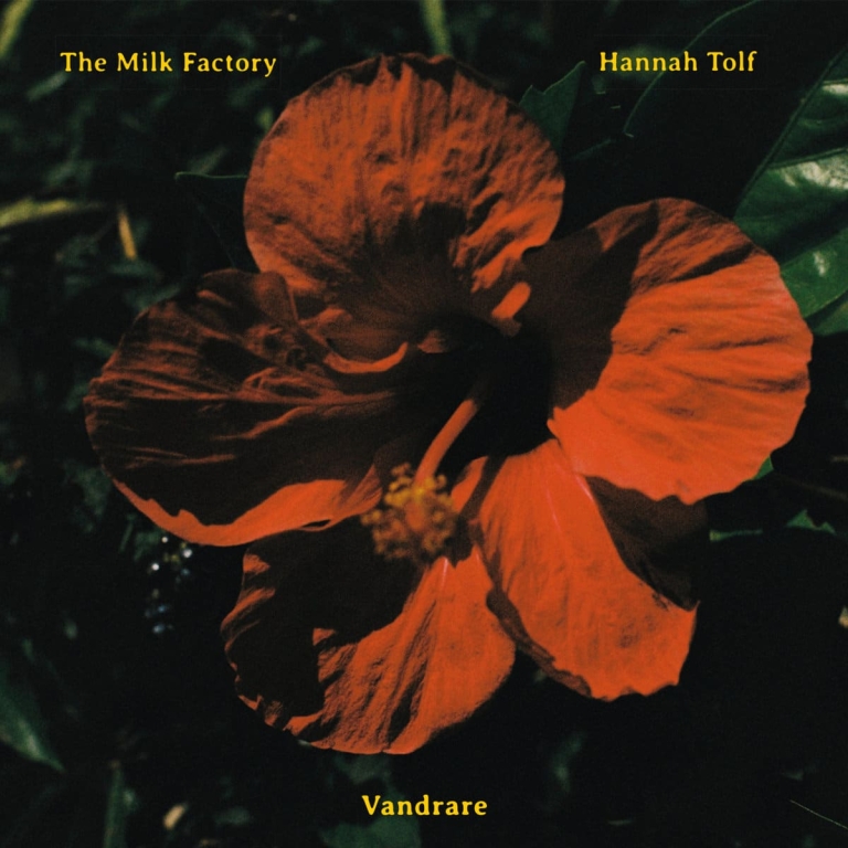 The Milk Factory & Hannah Tolf albumhoes Vandrare. Beschrijving: foto van Hibiscusbloem. 