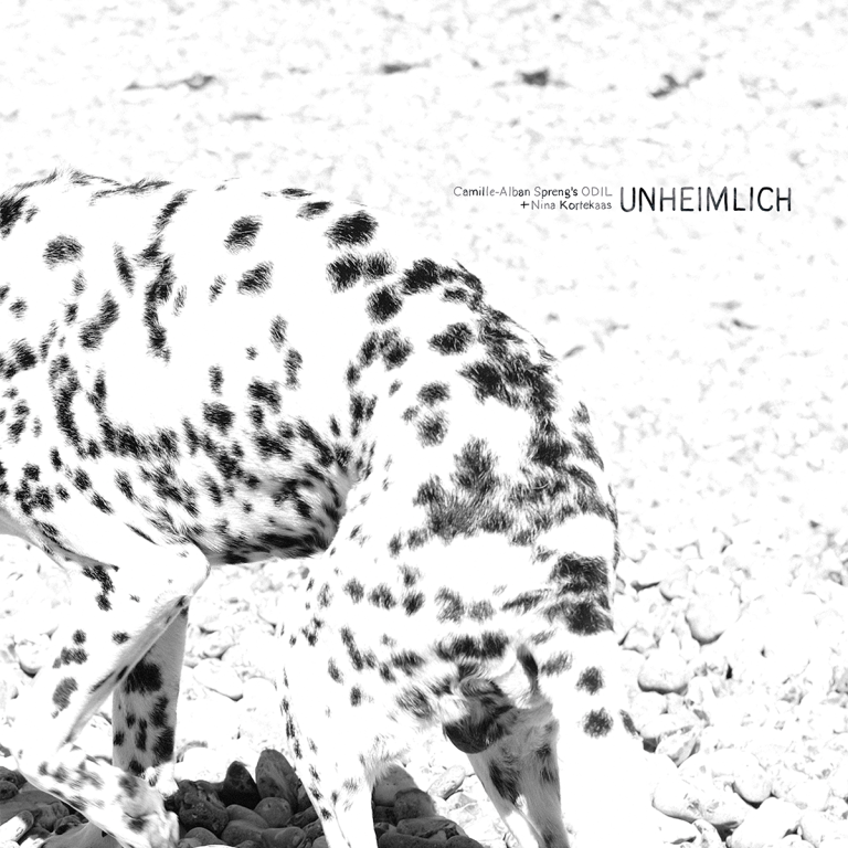 Albumhoes Unheimlich | zwart-wit close-up foto van Dalmatiër wandelend over keien