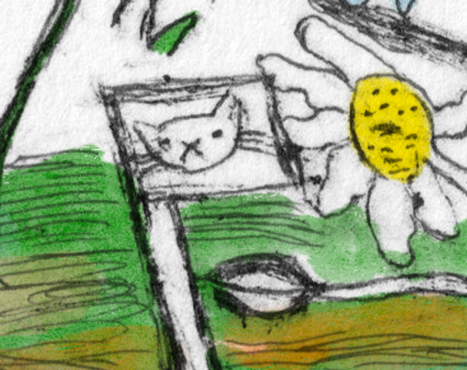 Field notes - geweld