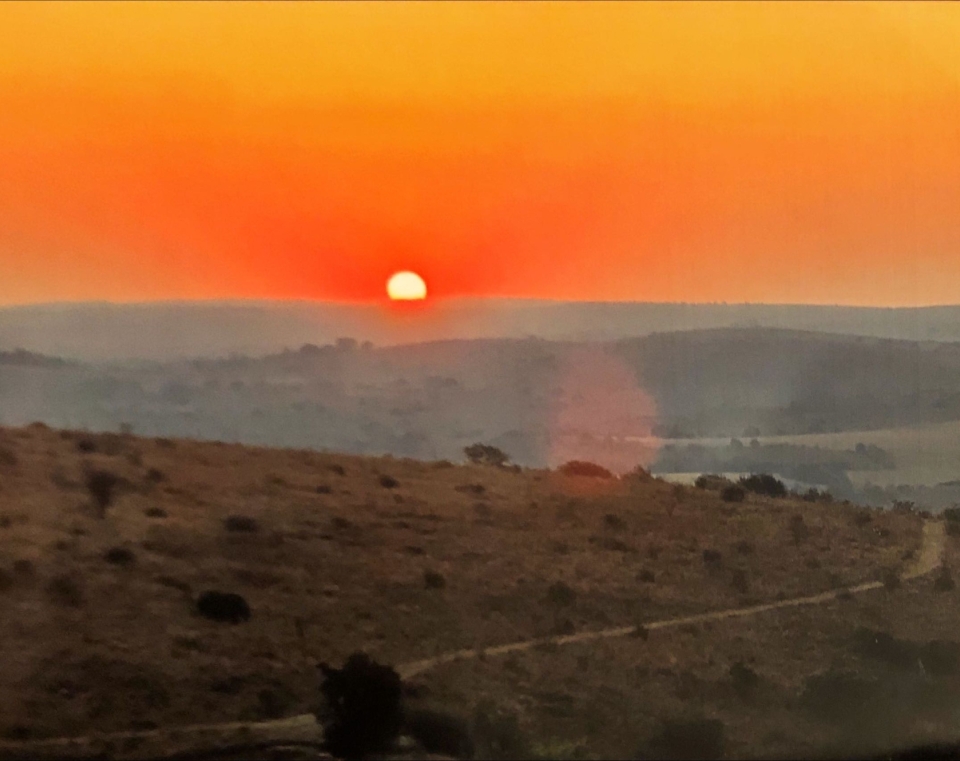 Landschap met ondergaande zon