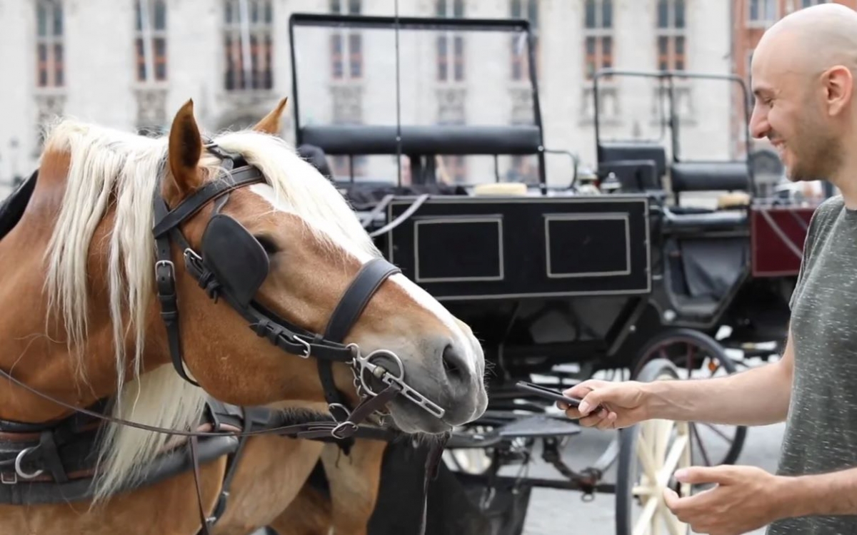 paard geluid wordt opgenomen door man - aifoon