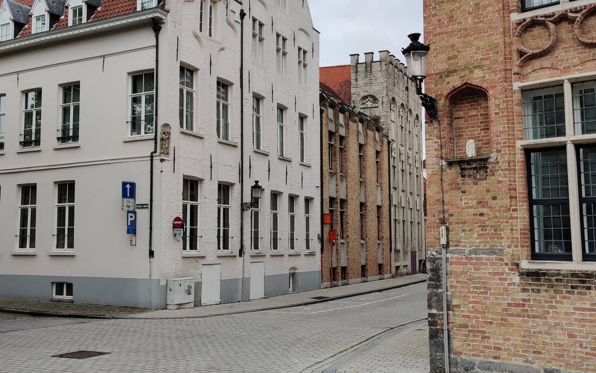 kikkers door Randall Casaer