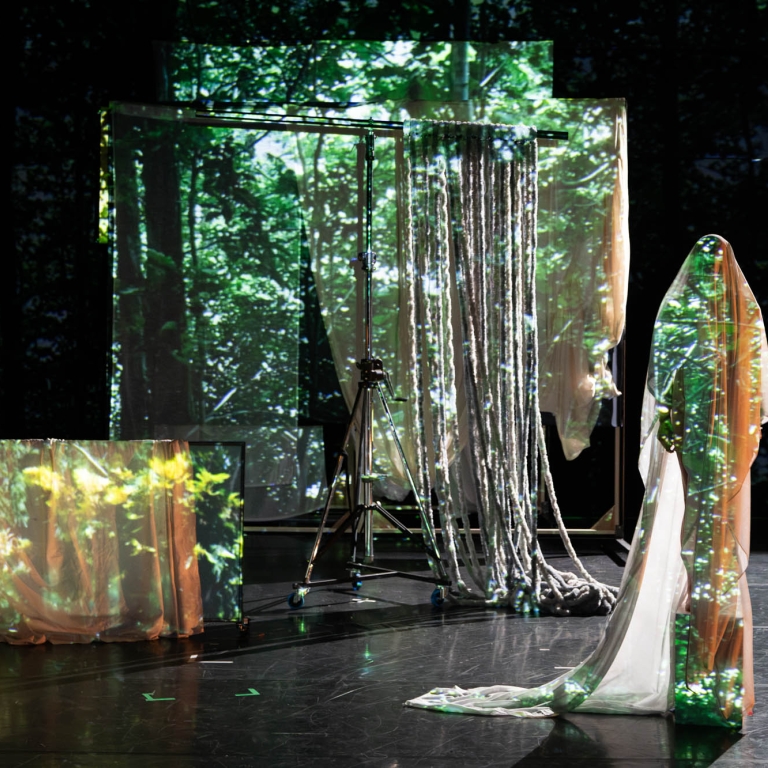 Bakeneko - (c) Clara Hermans 